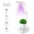 Import LED Plant Grow Light Flower Pot Intelligent Plant Growth Lamp Cultivation Tray Flower Vegetable Nursery Pot from China