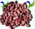 Import Light speckled kidney beans red kidney beans white kidney beans benefits from China