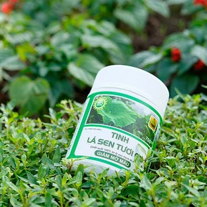 Lotus Tea Powder Natural Organic Slimming Tea Weight Loss Private Label Low MOQ