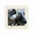 Import lovely birds 3d lenticular Picture Wall Photo Image for home decoration from China