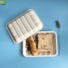 Lower price biodegradable bento box take away food serving tray