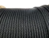 Manufacture 7x7 1x19 Stainless Steel 316 Black Wire Rope for Railing Stretch Structure