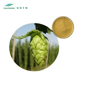 Manufacturer Supply High Quality European Hop Flower Extract 4%5% Xanthohumol