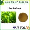 Matcha Green Tea Powder Benefits,Matcha Powder,Green Tea Extract 6%~70% EGCG
