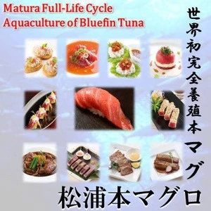 Matsuura bluefin tunas perfect for luxury Nepal food./surimi japan