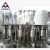 Import Mineral water purification and packaging the bottle filling machine from China