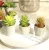 Import Mini Artificial  plants live succulent plants with pot tropical plants artificial flowers from China
