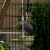 Import Minimalist Metal Wood Bird Living House Pet Product Outdoor Yard Garden Decoration Bird Feeder Bird House from China