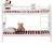 Import modern luxurious bed room furnitures double decker white pine wood bunk beds from China