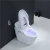 Import Modern style ceramic one piece siphon flusher toilet seat remote control automatic smart toilets from China