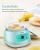 Import multi function Ceramic Inner Pot Burabi Kitchen electric stew pot slow cookers from China