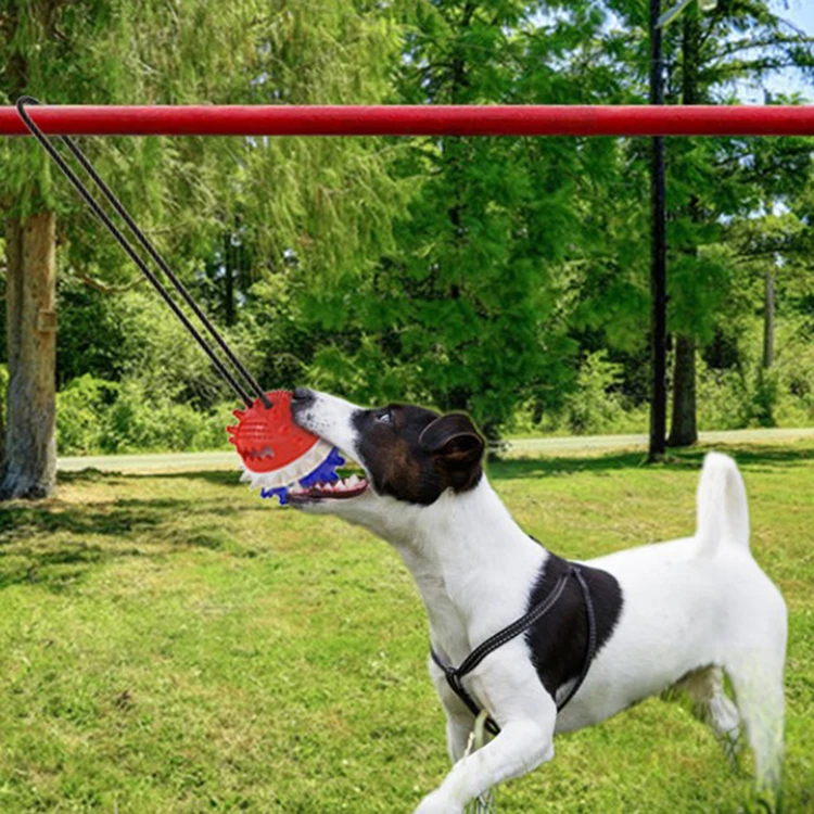 Multifunction Interactive Interactive Dog Bite Chew Ball On Rope Dog Toy