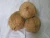 Import Natural Fresh Coconut for wholesale from South Africa from South Africa