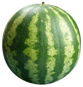 Natural Royal Fresh Watermelon Fruit For Sale Fresh Water Melon