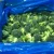 Import New Crop Quality Assurance IQF Vegetables Frozen Broccoli from China