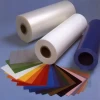New Custom Size Polypropylene Plastic PP Sheet in Roll