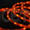 New products LED Outdoor Light Rope Light Christmas Light Wholesale