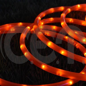 New products LED Outdoor Light Rope Light Christmas Light Wholesale