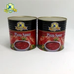 Nutrient-rich tomato paste pizza sauce tomato ketchup / canned tomato paste