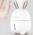 Import OEM rabbit cute personalusb mini  portable  ultrasonic aroma diffuser air humidifier from China