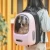 outdoor travel space capsule pet bag transparent pvc bag pet dog carrier bag  dog carrier backpack for hiking
