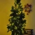 Import Outdoors Solar String Light 17M 100LED 2Modes Solar Christmas Lights for Gardens Wedding Party Tree Curtains from China