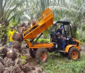Palm oil plantation 4x4 transporter tractor