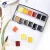 Import Paul Rubens Water Color Art Set Fresh Style 12 Colors Half Pan Solid Watercolor Paint from China