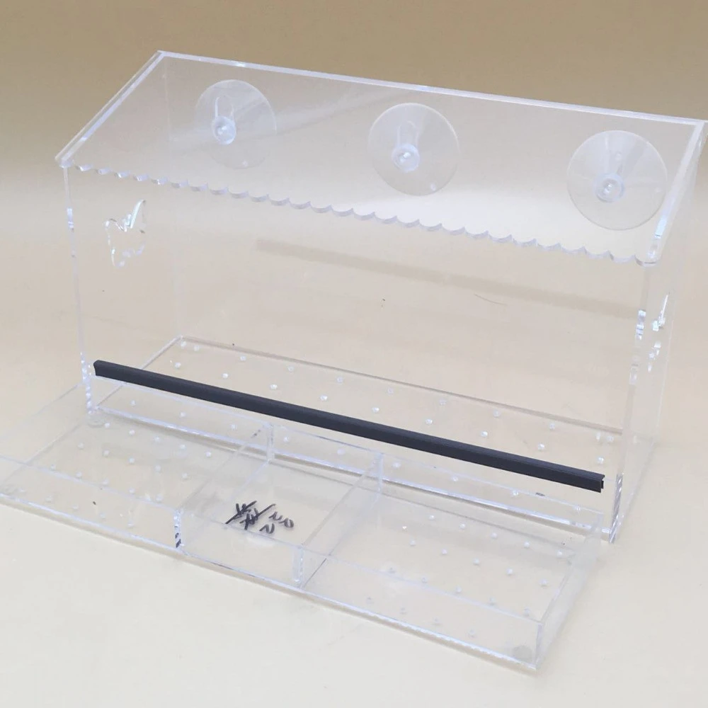 Plastic Royal Wing Feeder Eco-friendly Novelty 3mm Acrylic Bird Feeders