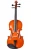 Import Popular Student Violin from China