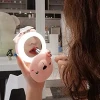 Portable Rechargeable Pocket LED Lighted Makeup Mirror Cosmetic Mirror with Fan