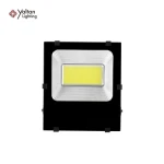 Power 20W 30W 50W 100W Energy Saving Best Quality Waterproof LED RGB Flood Light with Remote Control