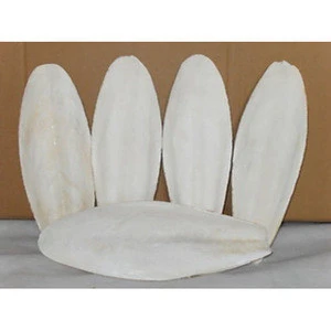 Premium Grade Dry Cuttle Fish Bone / Dried Washed Cuttle Fish Bone