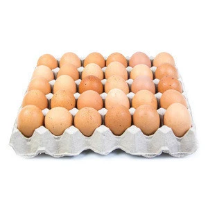 Premium Quality Chicken Eggs for Export  Fresh Egg Specifications