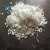 Import Price of alkaline resistant chopped e glass fiber for pp from China