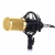 Import Professional BM-800 BM 800 Condenser microphone Pro Audio Studio Vocal Recording mic KTV Karaoke Desktop mic Metal Shock Mount from China
