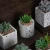 Import Promotional high quality small bonsai cactus succulents artificial plant potted with terrazzo pot from China