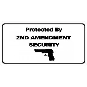 Protected By 2nd Amendment Security Photo License Plate-Quantity Discounts Given