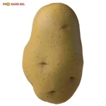 PU Gift Giveaway Ideas Squishies Potato Scented Stress Balls