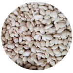 Pure Fructus Aurantii Seedlins, Bitter Orange Seeds, Citrus Aurantium Seeds For Seedling Tree