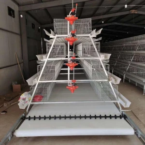 Qingzhou factory hot galvanizing chicken cage poultry farm
