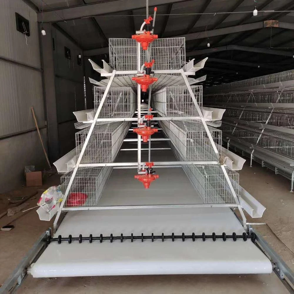 Qingzhou factory hot galvanizing chicken cage poultry farm