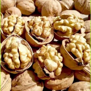 Quality Dried Walnuts in Shell/Walnuts Kernels