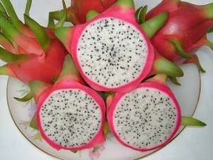 Quality Fresh Dragon Fruit With Competitive Prices