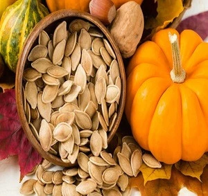 Quality Pumpkin Seeds in stock now.