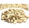 quality w240 w320 cashew nuts/cashew kernels
