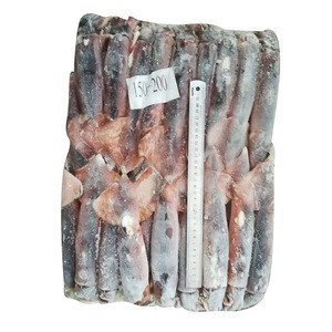 Quanzhou Whole Frozen Squid Price Illex Squid Seafood Squid Frozen