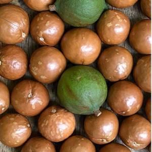 Raw Organic Macadamia Nuts High Quality For Sale