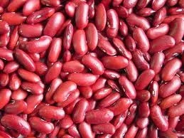 Red and white Speckle kidney bean
