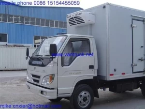 reefer van refrigerated / refrigerator freeze truck with great price